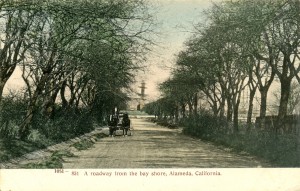 A Roadway from the Bay Shore, Alameda, California           